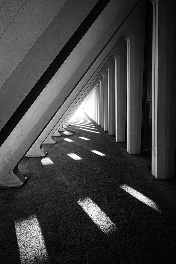 Schwarz-Weiß Foto von Säulen im Bahnhof Liège-Guillemins