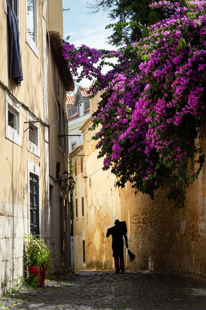 Ein Mann geht durch eine enge Gasse in Lissabon unter einem blühenden Baum